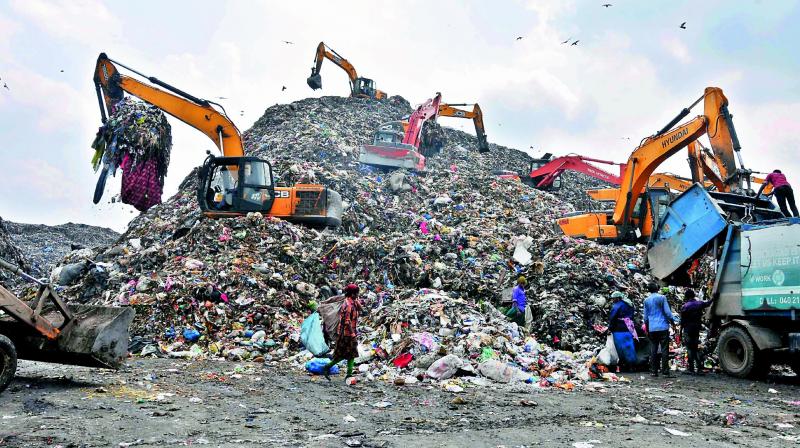 Dumpyard Activities